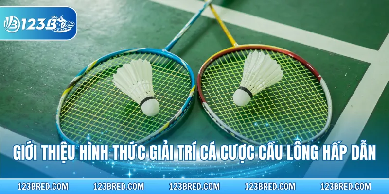 Giới thiệu hình thức giải trí cá cược cầu lông hấp dẫn